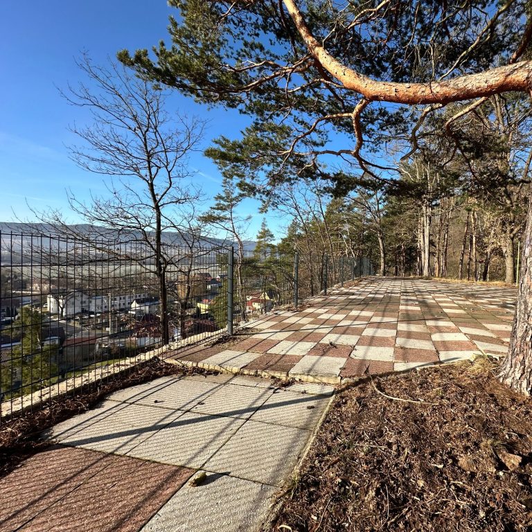 Ausblick von einer Panoramaterrasse auf eine Landschaft und Häuser mit einem Rottweiler, Sitzgelegenheiten und Bäumen im Vordergrund. 