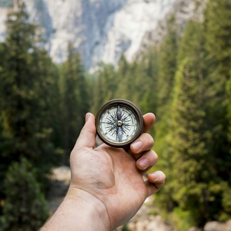 Hand hält einen Kompass vor einer bewaldeten Berglandschaft.